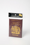 Passport passport holder.